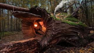 Building a Warm and Cozy Hollow for Survival, in the root of a fallen spruce. Secret cave, Bushcraft