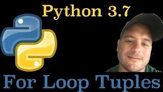 Python 3.7: How To Iterate Through A Tuple In Python