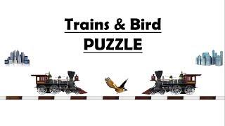 Trains & Bird Puzzle || Brilliant Puzzle