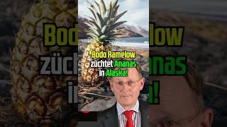 Ananas in Alaska! #bodoramelow #thüringen #landtagswahl