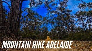 MUST SEE BEFORE YOUR HIKE TO MOUNT LOFTY IN ADELAIDE