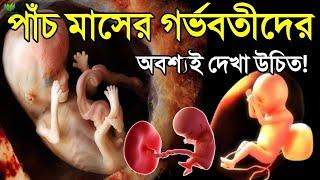 পাঁচ মাসের গর্ভাবস্থায় কি কি সমস্যা হয়? গর্ভবতীদের অবশ্যই জেনে রাখা উচিত || গর্ভাবস্থার ৫ম মাস!