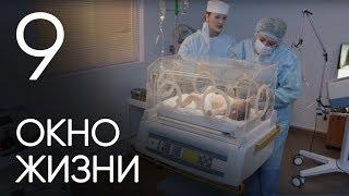 Окно жизни. Серия 9. Мелодрама. Сериал о врачах. Сезон 1. Baby Boxes. Episode 9.