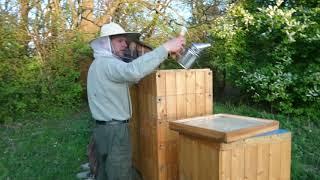 Rozšíření nízkonástavkového a kontrola jednonástavkového úlu