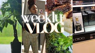 WEEKLY VLOG : GLOBAL ENTRY | LIFE OF A NEW VLOGGER | GETTING MY LIFE TOGETHER |COOKING