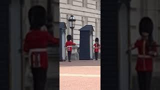 Guards of  Buckingham Palace at London UK England #london #visitlondon #tourist #touristlife