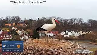 2025 03 10 Storchennest Röttenbach, schönen guten Tag️️ist weg und Regenwolken sind im Anzug