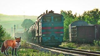 Грузовой поезд на перегоне Бессарабка - Березино. Медведь. Тепловоз 2ТЭ10М-2745 /УЗ/. Бессарабка