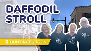 Daffodil Stroll Huntingburg Indiana