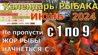 Прогноз клева рыбы на Эту неделю с 1 июня по 9 Июня 2024 Календарь рыбака на июнь 2024