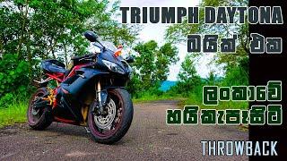 Triumph Daytona 675 Throwback I Moto Hub