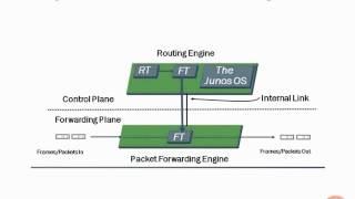 Control and Forwarding Planes Operation