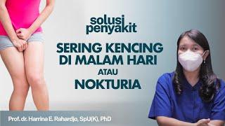 Ngeri! Sering Kencing Di Malam Hari? Kenali Nokturia dan Penyebabnya | Kata Dokter #150