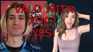 Pokimane would love to play XQC in Valorant