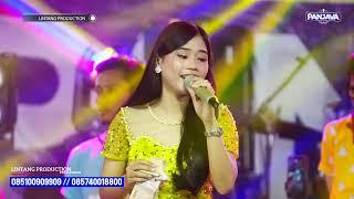 PANJAVA THE ROCK DANGDUT // Cinta & Air Mata - Wilda Niswa