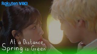 At a Distance, Spring is Green - EP7 | A Kiss That Heals His Wound | Korean Drama