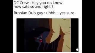 DC Crew: Hey you do know how cats sound right? Russian Dub Guy: Uhh.. yes