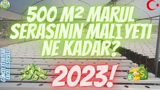 500 m² Hidroponik Marul Serasını Ne Kadara Kurduk ? Beklenen Video ... GÜNCEL FİYATLAR.... 2023.....