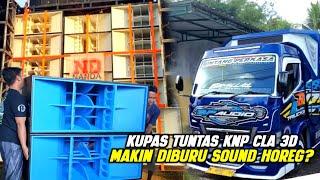 Banyak CLA Lebih Murah, Kenapa Nanda, BP & Sound Horeg Lainnya Pilih 3D BOX CUSTOM