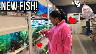 *NEW* FISH FOR 10G AQUARIUM FISH TANK!