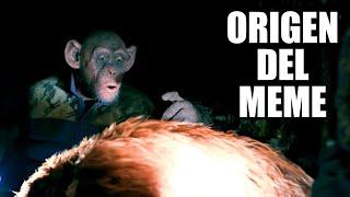 Oh No | Origen Del Meme