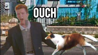 Dogs Bites Rick Astley