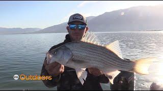 Fishing Willard Bay with Walleye Pursuit Guide, Jake Hammer