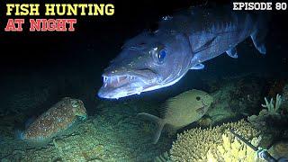 NIGHT SPEARFISHING EPISODE 80 | FISH HUNTING AT NIGHT