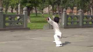 Wudang Snake Form Amazing Children Performance