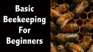 Beekeeping For Beginners and Beekeeping Basics - Off Grid Living