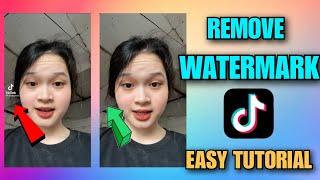 HOW TO DOWNLOAD TIKTOK VIDEO WITHOUT WATERMARK - EASY TUTORIAL 2022