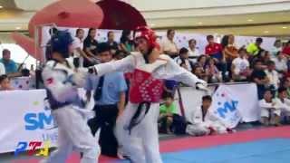 Best of the Best Taekwondo [SMART MVP 2015]