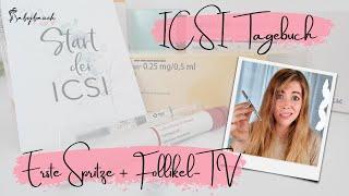 ICSI Tagebuch Woche 1 - Stimulation und 1.Follikel-TV | Kinderwunsch Tagebuch 2021