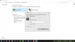 How to View Passwords in Credential Manager