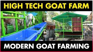 Modern Goat Farming Technology - High tech Goat Farm | Goat Shed Design