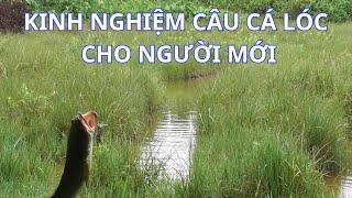 KINH NGHIỆM CÂU CÁ LÓC BẰNG MỒI HƠI CHO NGƯỜI MỚI huynhvananfishing