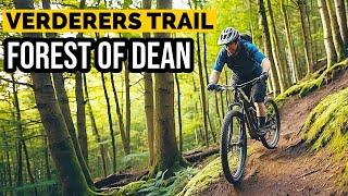 The Verderers Trail at the Forest of Dean