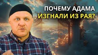 Первородный Грех - Чушь | Мудрость Изгнания Адама из Рая | #ислам #вера #религия