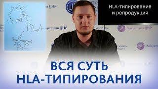 HLA-типирование и репродукция. Что такое HLA-типирование и зачем проводить HLA-типирование.