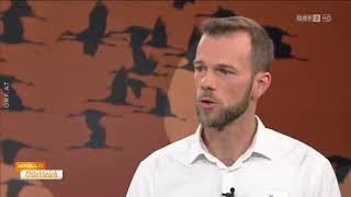 Gespräch mit dem Ornithologen Norbert Teufelbauer ORF Aktuell in Österreich