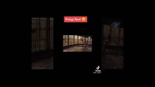 pubg and chernobyl a house