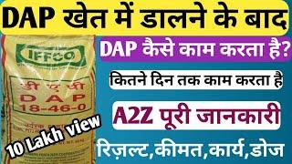 DAP खेत में डालने के बाद कैसे काम करता है । Dap कितने दिन तक काम कर ।Dap khad । Dap Fertilizer । Dap