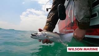 Wilson Marine Ultimate Fishing Show 2024