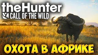 ОХОТА В АФРИКЕ (САВАННА ВУРХОНГА) - The Hunter: Call of the Wild (стрим) #8