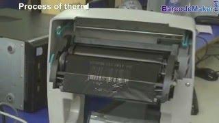 Barcode Maker Software: Process of Thermal Printer to print barcode labels