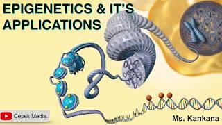 What is Epigenetics and its Applications | Biotechnology | General Medicine