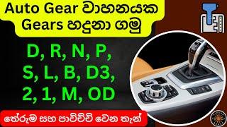 Drive Auto Gear | Automatic Gears Sinhala | L, N, P, D3, OD, B, S, M, 1, 2 | Auto Gear System Letter