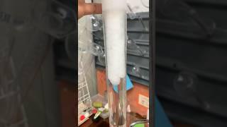 Different way to grow Crystals  #shorts