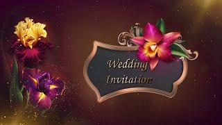 Latest Wedding Invitation Video Without Text | Free Green Screen Template