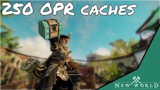 I made a build with 250 OPR caches - New World [Season 5]